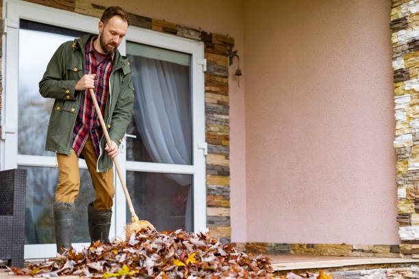 Best Same-Day Junk Removal  in Rexland Acres, CA